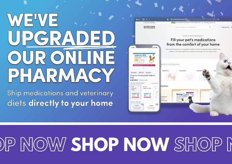 Carousel Slide 7: We've updated our online pharmacy!